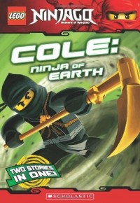 Ninjago: Cole ninja of earth