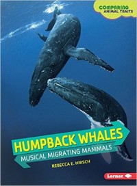 Humpback Whales: Musical Migrating Mammals